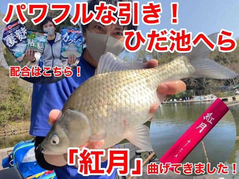 へらぶな釣り シマノ「紅月」使ってきました！ | 釣具のイシグロ