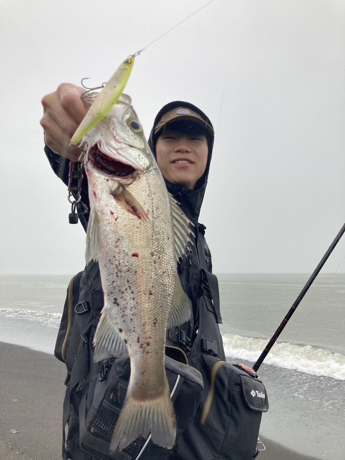 反応多数！！！沼津サーフシーバス釣れてます！！！ | 釣具のイシグロ