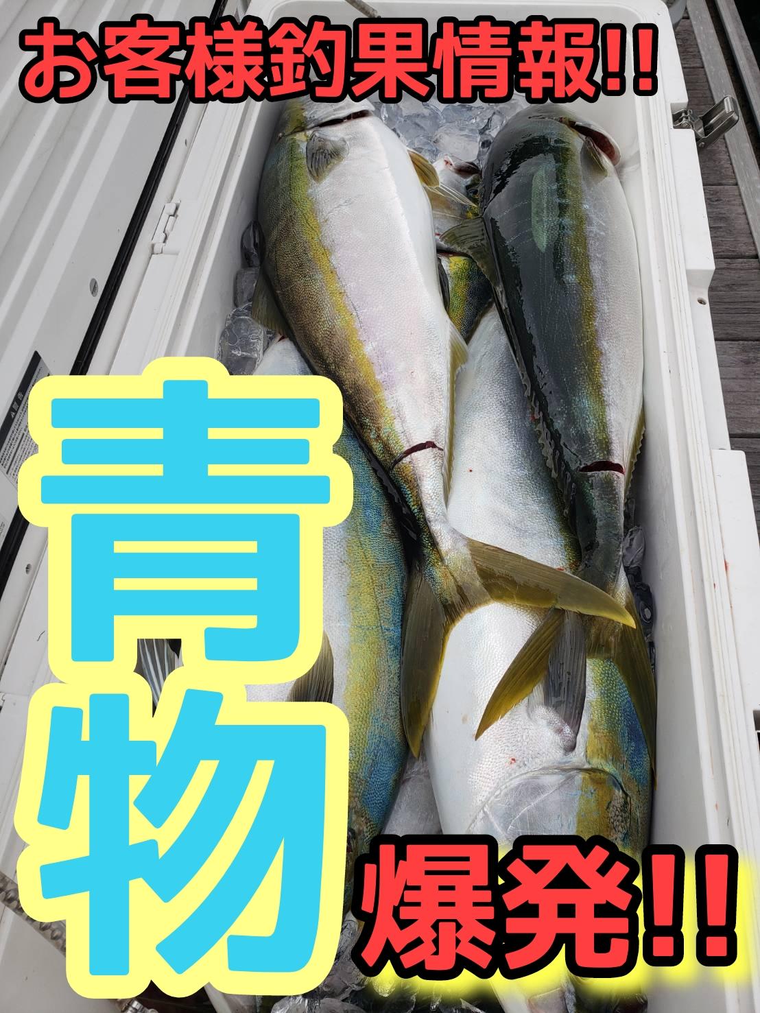泳がせ釣りでワラサ＆ブリなど青物爆釣!!【お客様釣果情報
