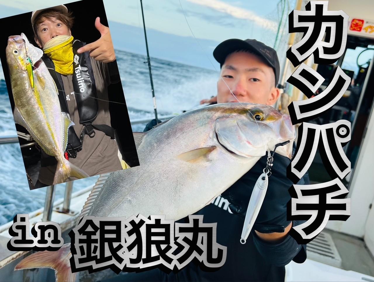 ホシザキカンアオイ（特大） 71dGkFRlfvS._UF350,350_QL50_.jpg