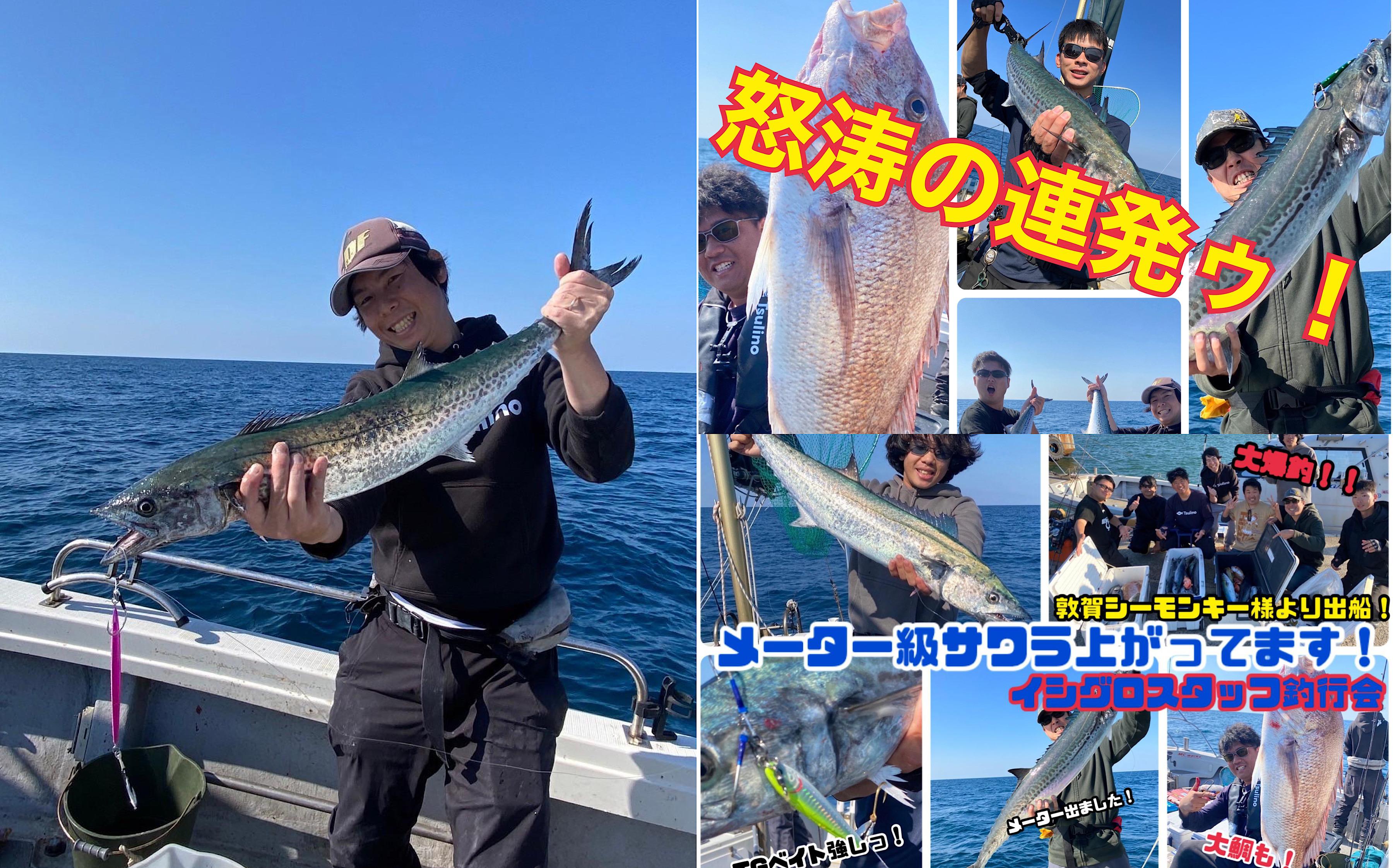 TGベイト連発‼】敦賀ジギングでサワラ・ワラサ連発絶好調 TGベイト連発‼】敦賀ジギングでサワラ・ワラサ連発絶好調