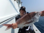 スタッフが釣った御前崎沖のマダイです♪