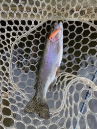 ボトム系ルアーが好調でした