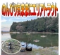 初心者の方は第2ポンドがオススメです。