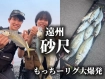 砂尺…！