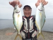 シマアジ釣れてます！