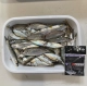 アジのほかマイワシもたくさん釣れましたよ。