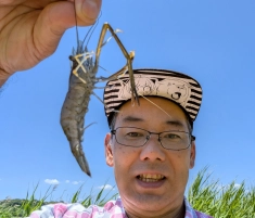 アタリも多くこれから数釣りシーズンです。独特のピンピンとした引き、また食べても美味しい手長エビ釣りいかがですか？