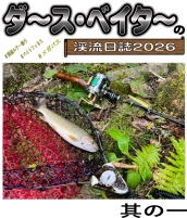 スピナーで数釣り、ミノーで大物狙い！
