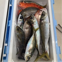 SLJでは色々な魚が釣れるのがいいですね！