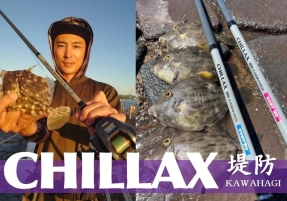 【注目】本気で堤防のカワハギを釣りたいなら！専用ロッド『CHILLAX堤防KAWAHAGI』がベスト！