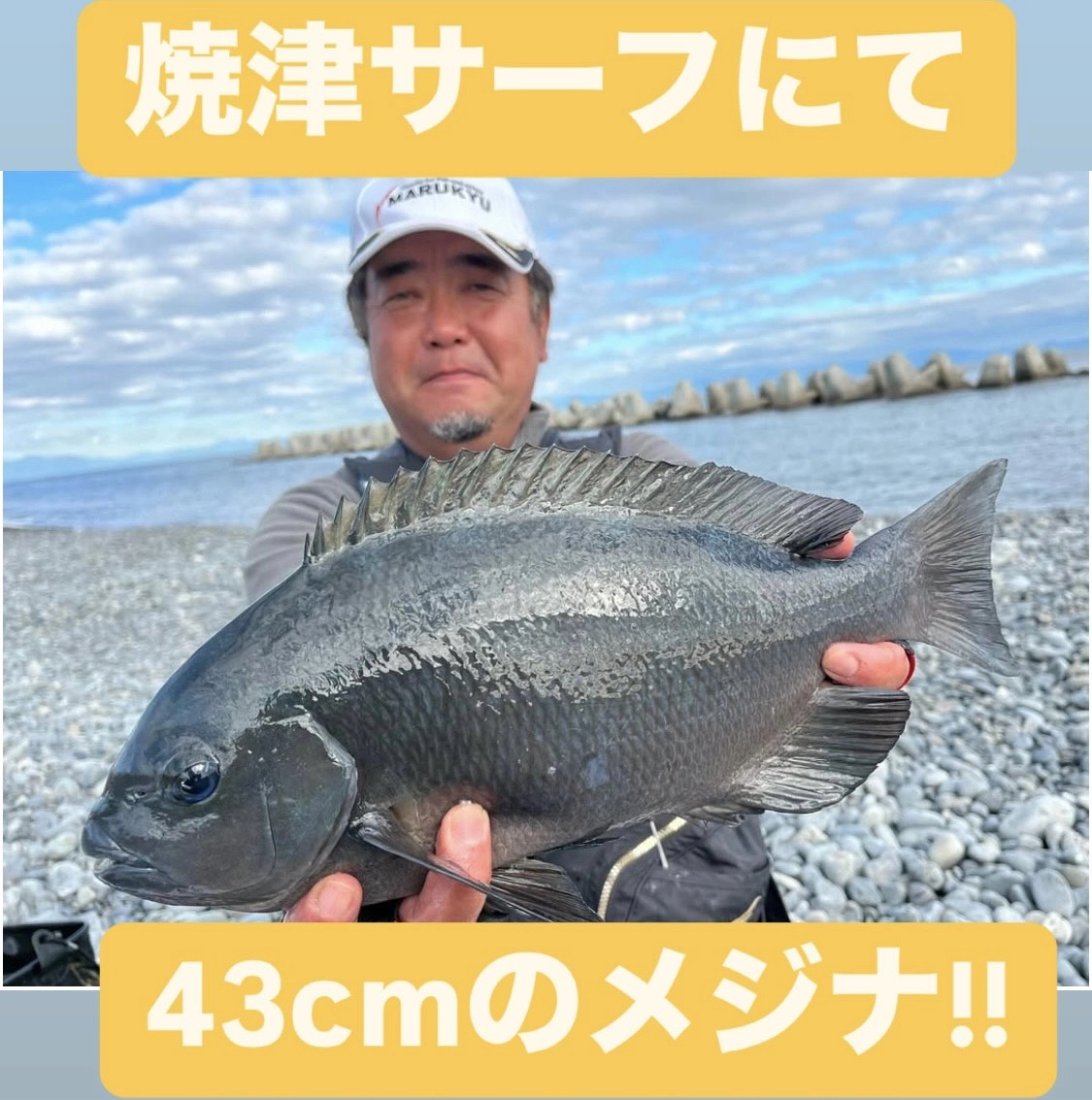 焼津サーフ渚釣り好調！ | 釣具のイシグロ | 釣り情報サイト