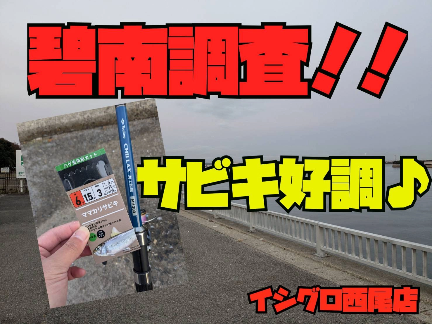 碧南調査！！サビキで入れ食い♪[イシグロ西尾店] | 釣具のイシグロ