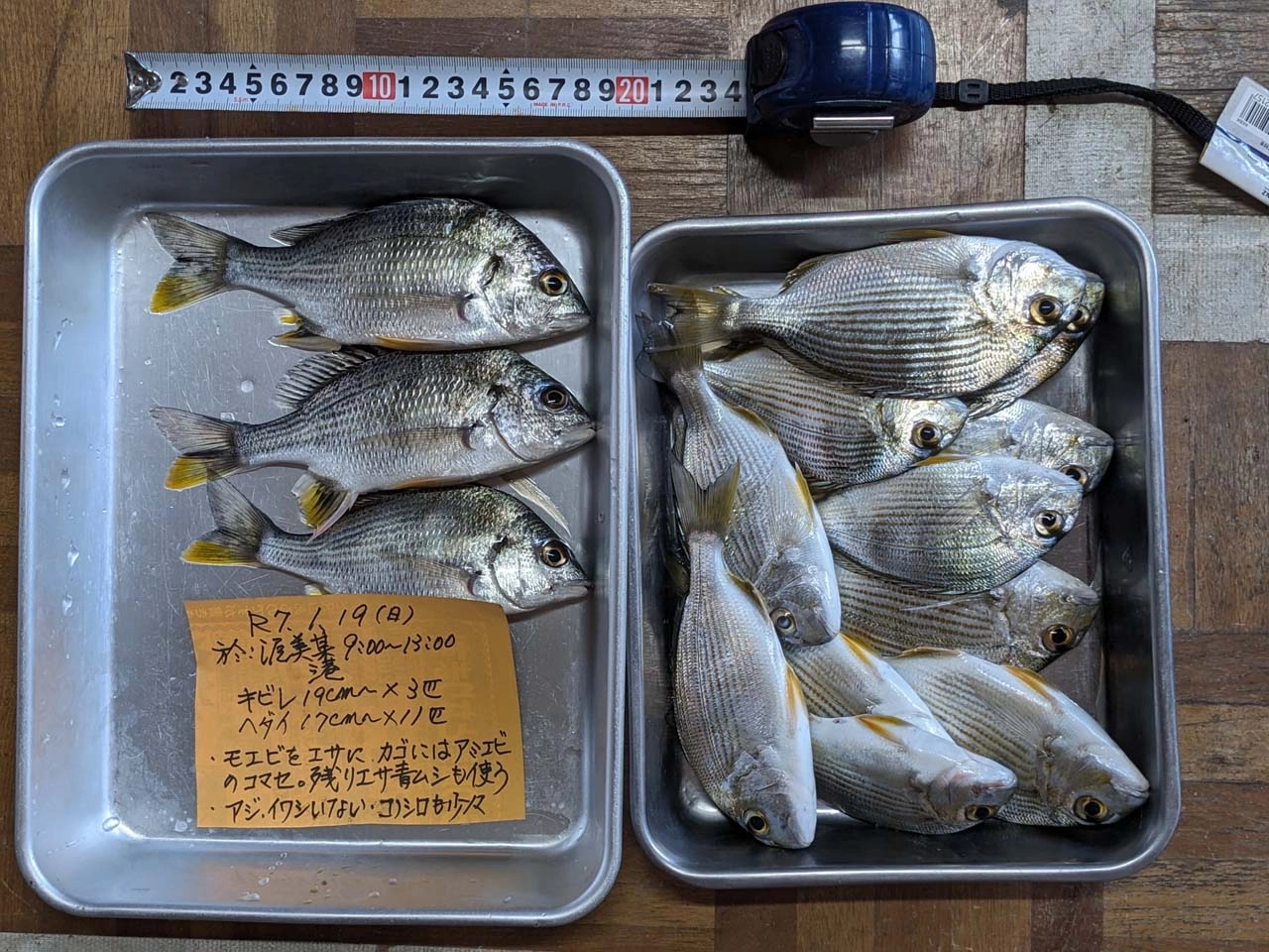 微風の小雨交じり、まずまずのコンディションの中なにしろ渋かった。