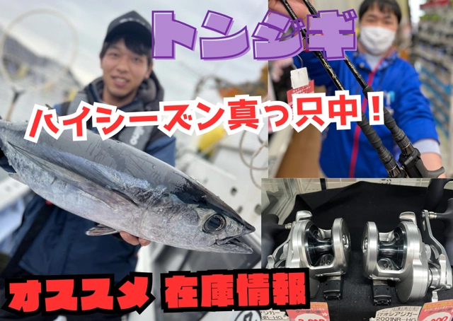 20㎏オーバー出現中】トンジギオススメ商品在庫情報 ○イシグロ半田店