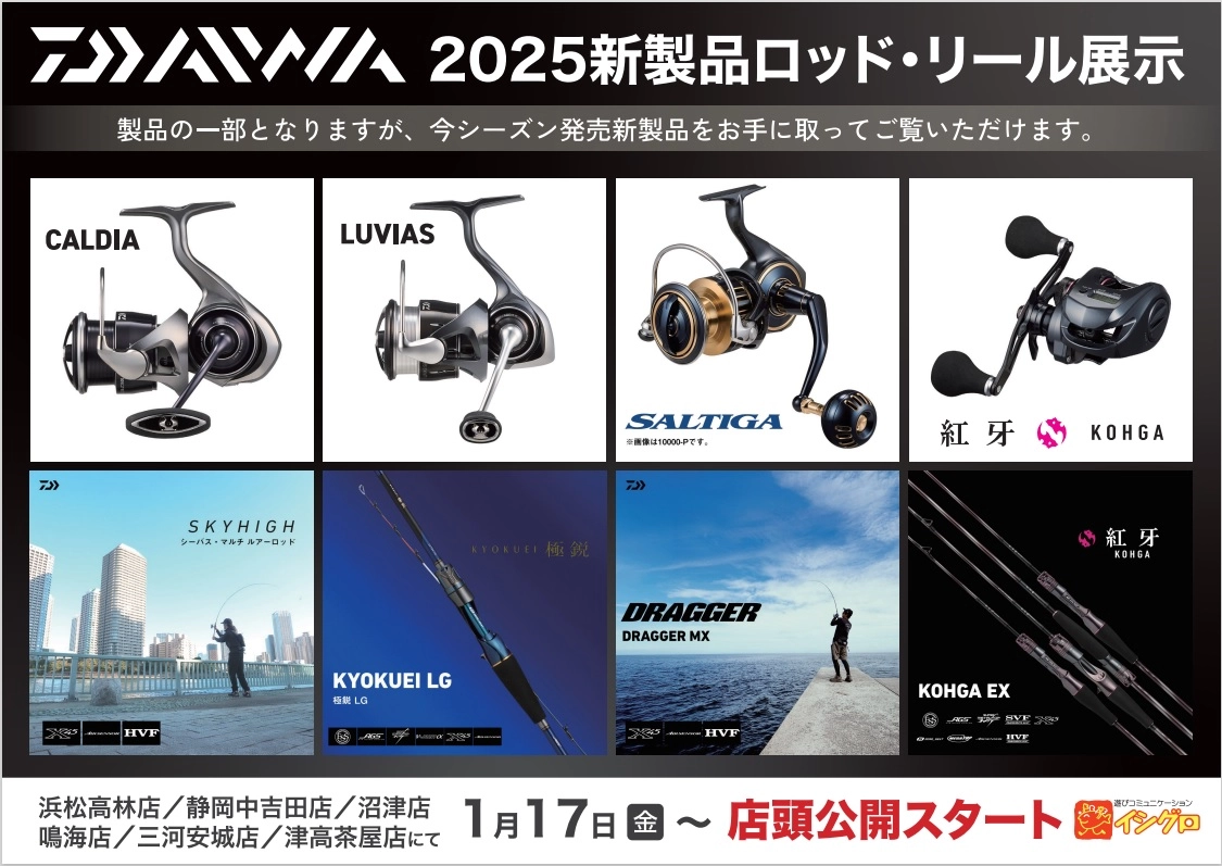 25 ダイワ カルディア LT3000S-CXH できる 2時間使用 25 ダイワ カルディア LT3000S-CXH できる 2時間使用