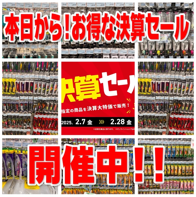 NO ７ イワヒバ( 岩松 ） ３０年物 激安の投売り大特価です mini-Selaginella-tamariscina.jpg