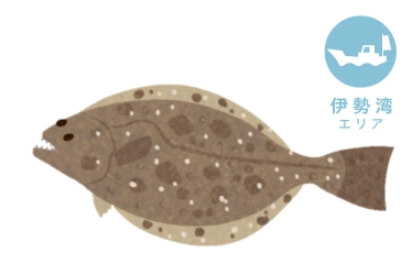 伊勢湾 船ヒラメ泳がせ釣り＜深掘り＞