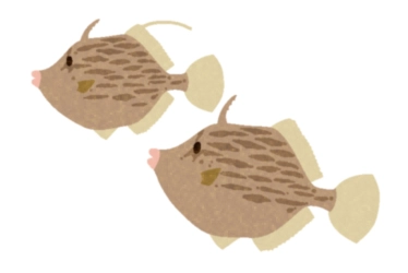 堤防のカワハギ釣り