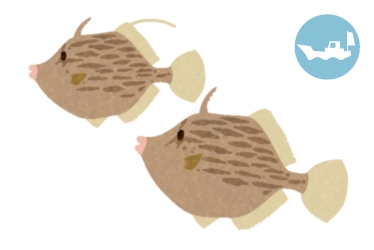 船　カワハギ釣り