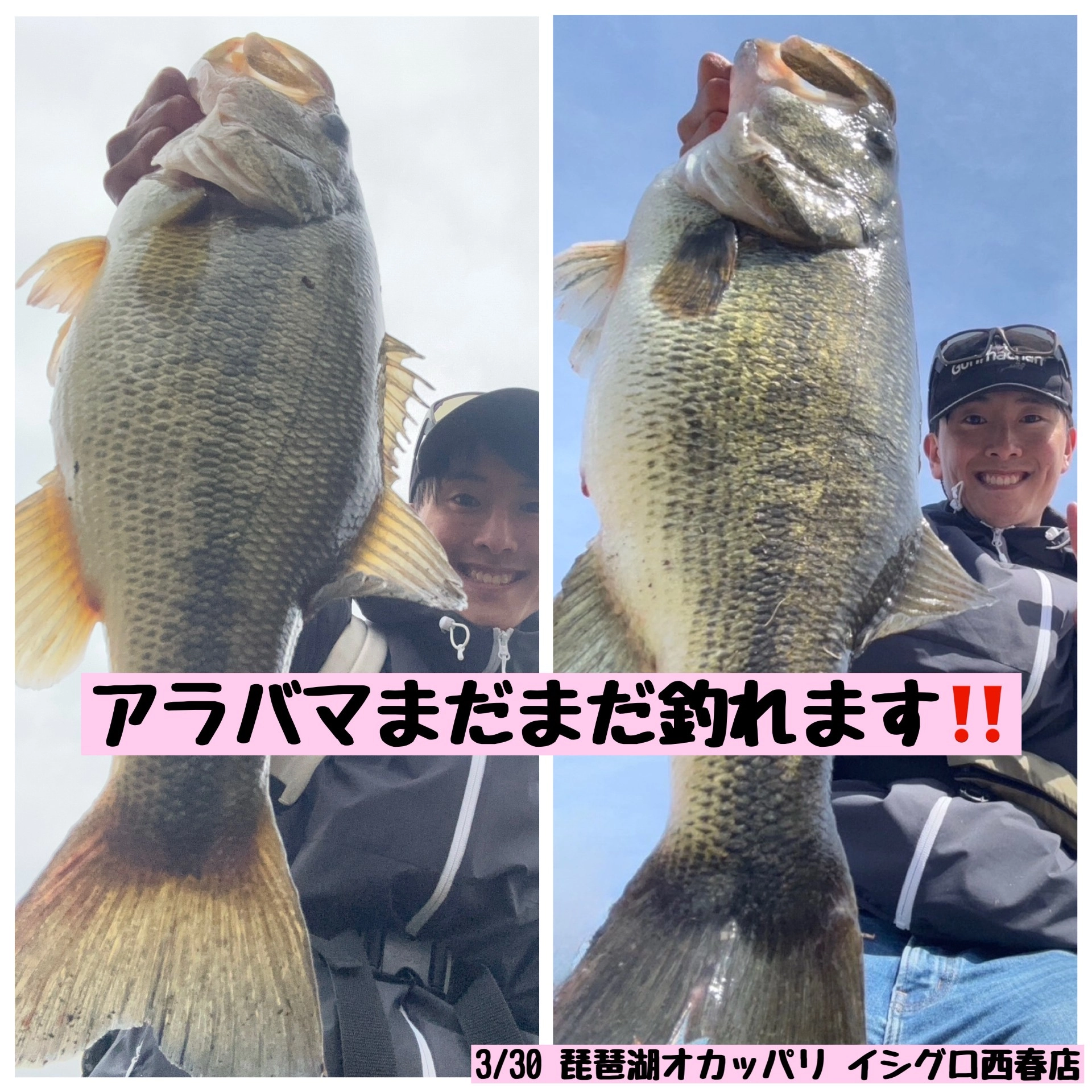 57cm頭に50upを2本キャッチ！