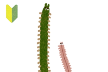 釣り初心者向け イソメの量 | 釣具のイシグロ | 釣り情報サイト