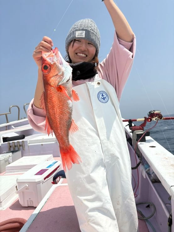 当日はアカムツ釣れませんでしたが、連日良型アカムツ釣れています。