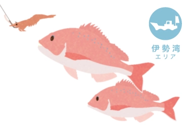 伊勢湾 ウタセマダイ釣り