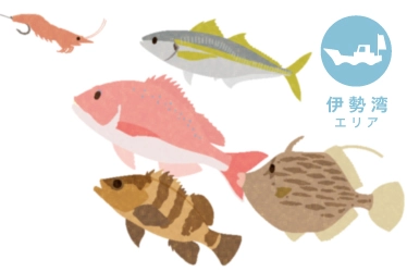 伊勢湾 ウタセ五目釣り