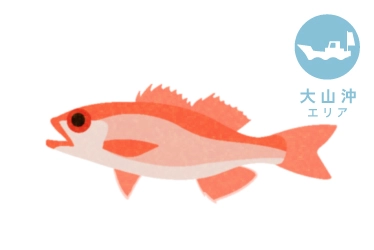 大山沖 アカムツ釣り＜深掘り＞