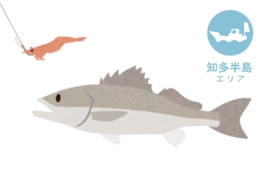 知多半島 夜マダカ釣り＜深掘り＞