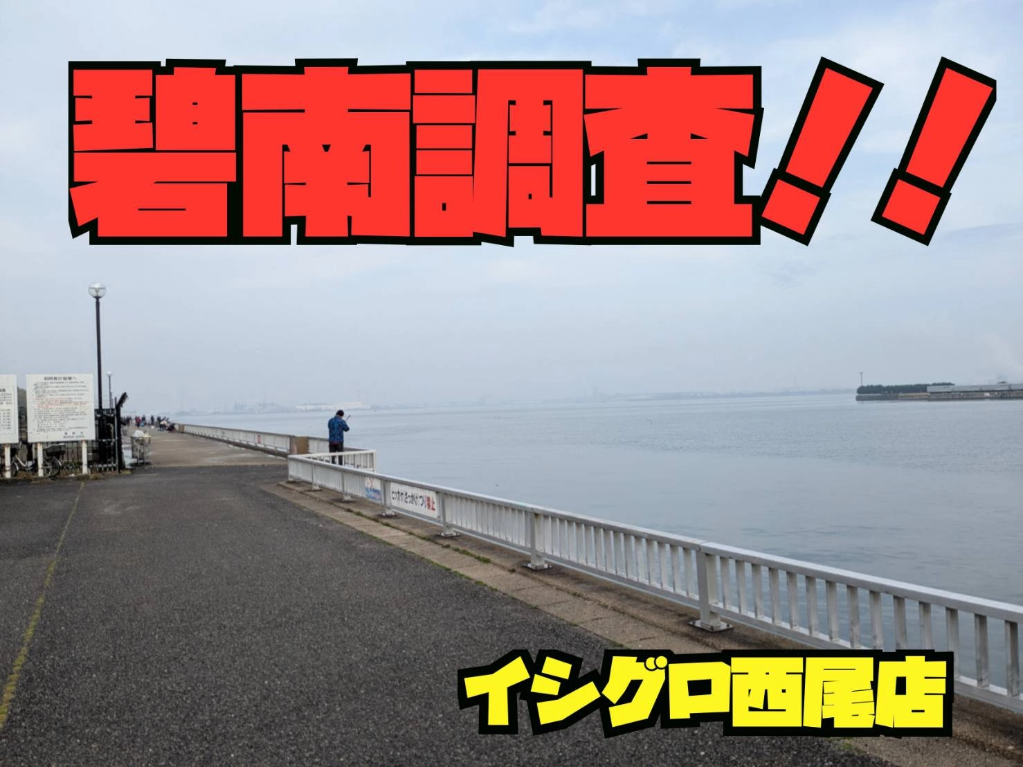 碧南調査