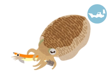 船　コウイカ（スミイカ）釣り
