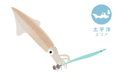 船　ヤリイカ釣り（太平洋）