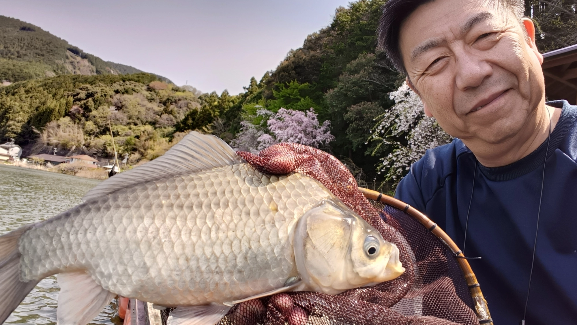 ひだ池へらぶな釣行!10番で18尺で両グル底釣り♪ | 釣具の ひだ池へらぶな釣行!10番で18尺で両グル底釣り♪ | 釣具の