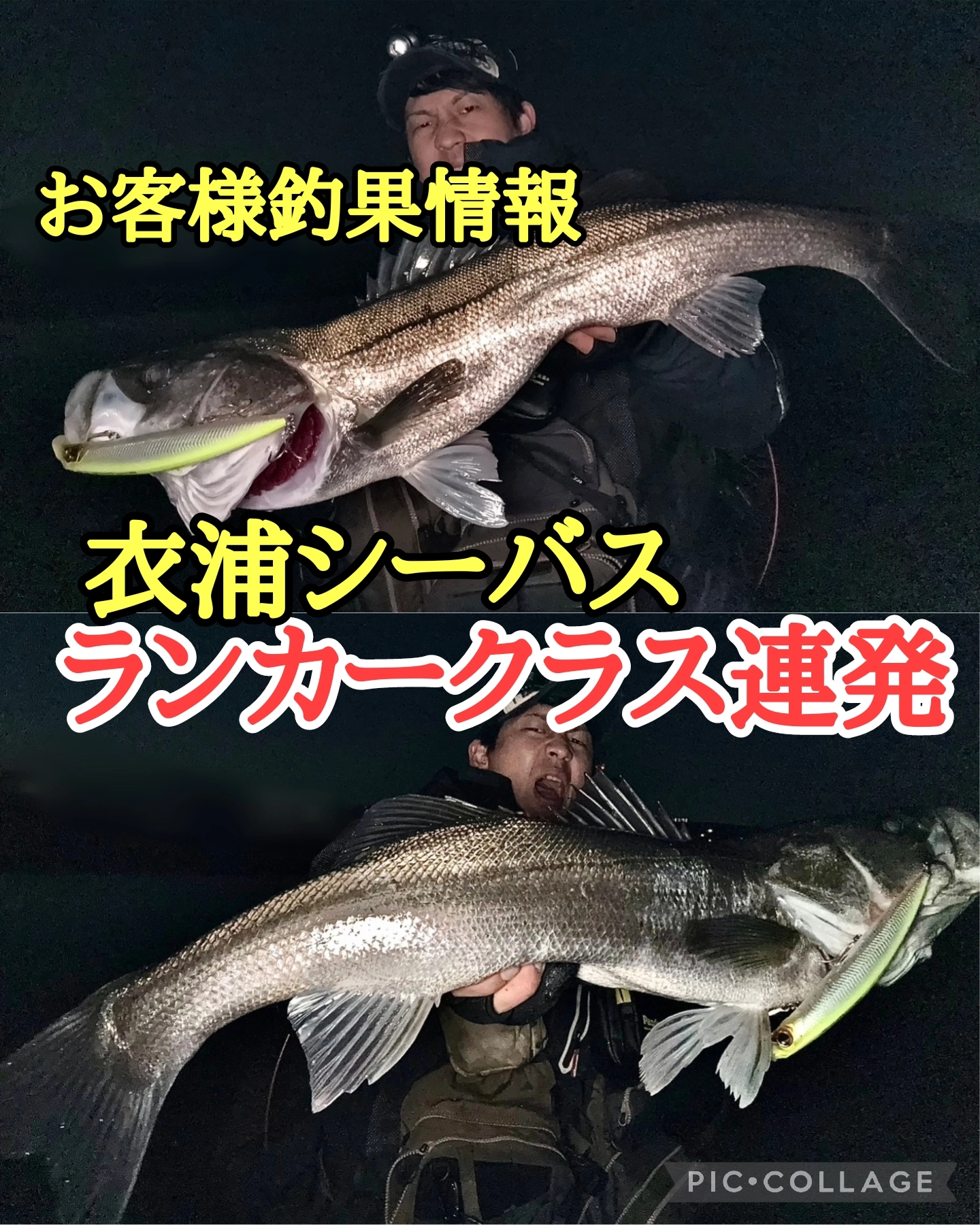 清水区巴川】セイゴ狙いで70cmゲット【シーバス】 | 釣具の