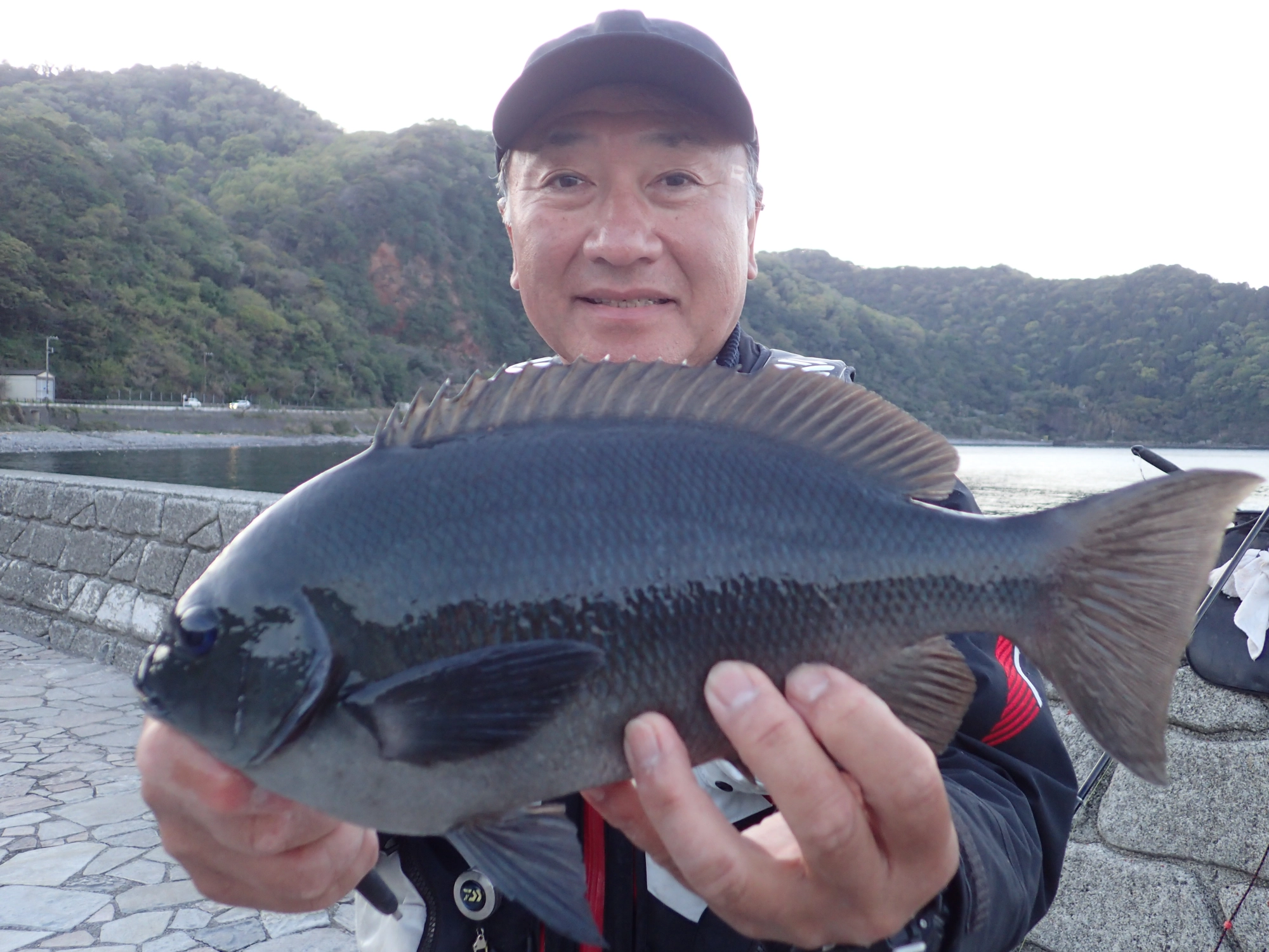 いるか浜堤防　メジナ38㎝