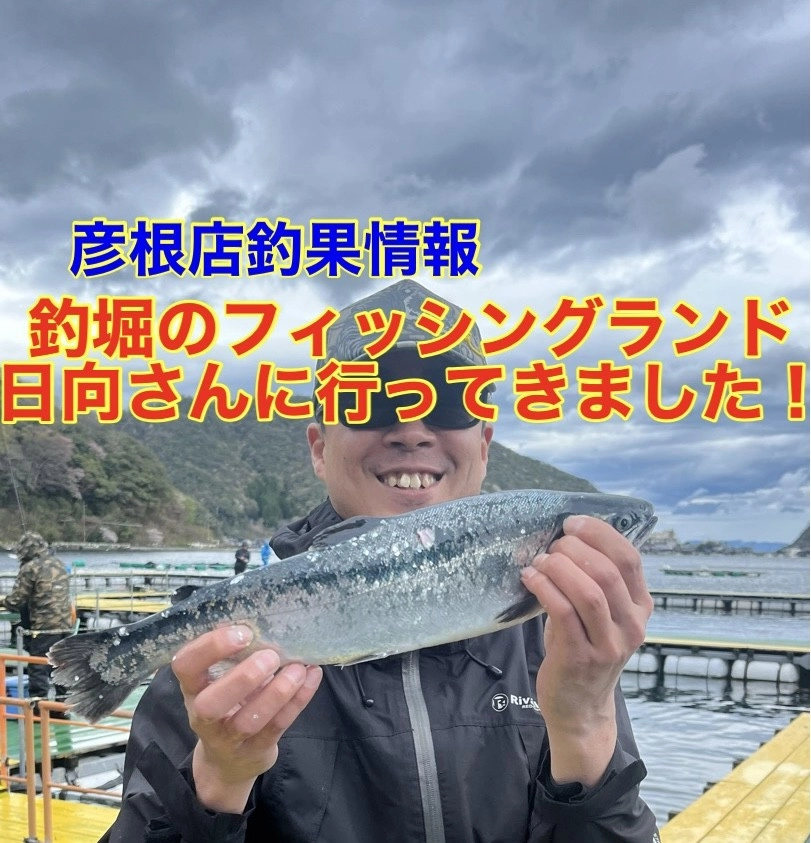 福井美浜町の海上釣堀「フィッシングランド日向」さんにいってきました