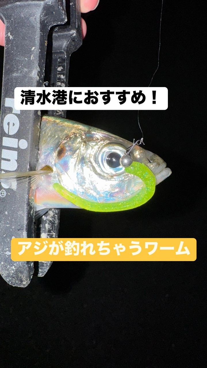 清水港爆釣！アジが釣れちゃうオススメのワーム教えちゃいます