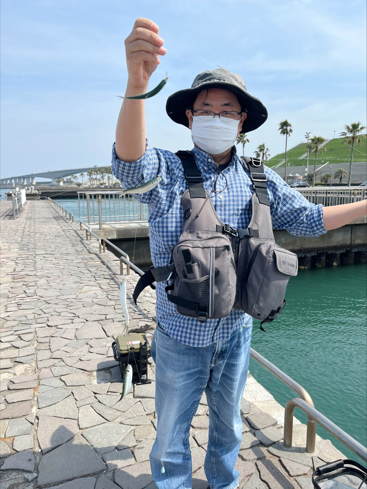 新居弁天海釣り公園サビキ釣り！！ | 釣具のイシグロ | 釣り情報サイト
