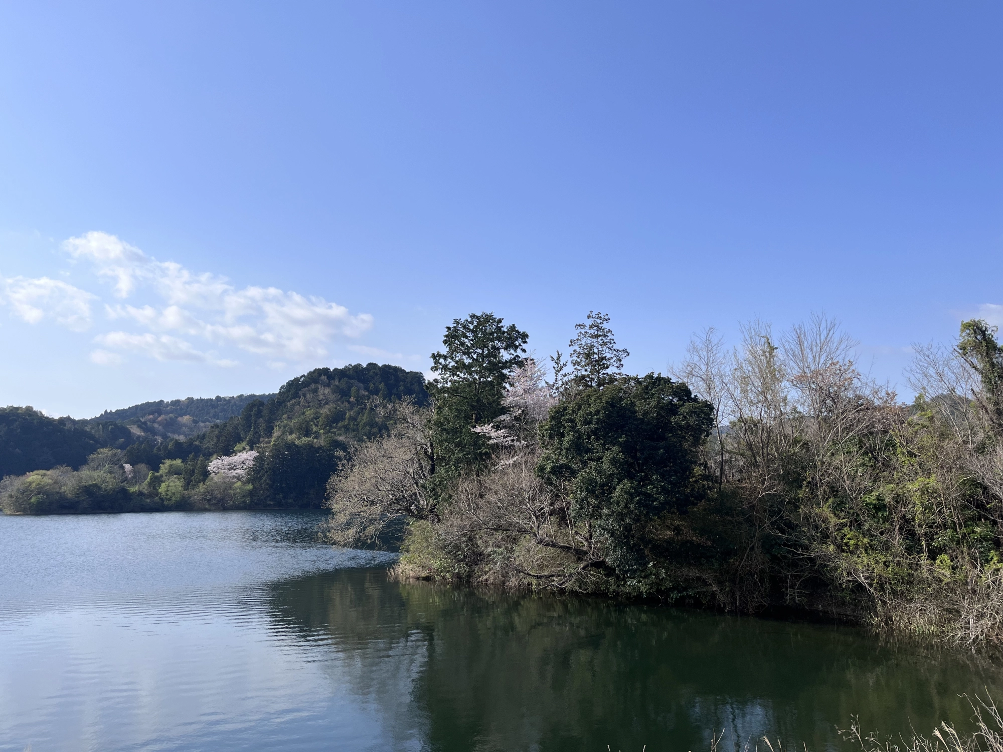 土手堤防