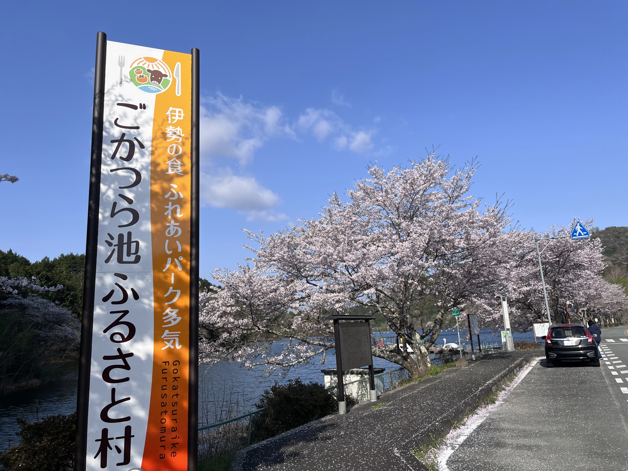 五桂池（ごかつら）【三重県・多気町】