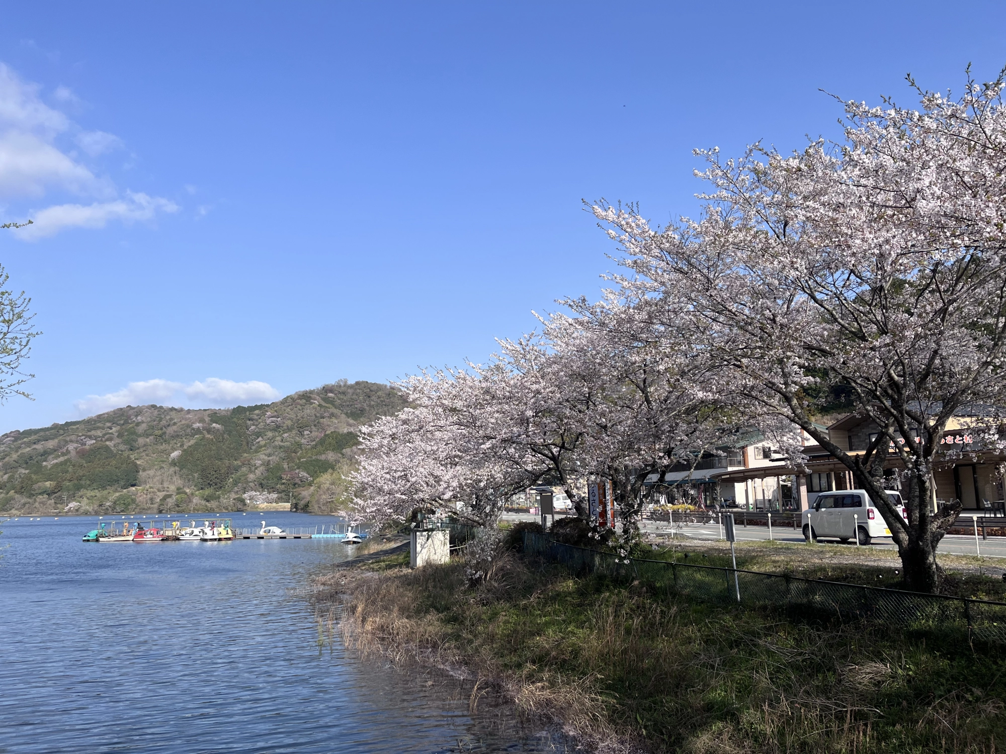五桂池　風景
