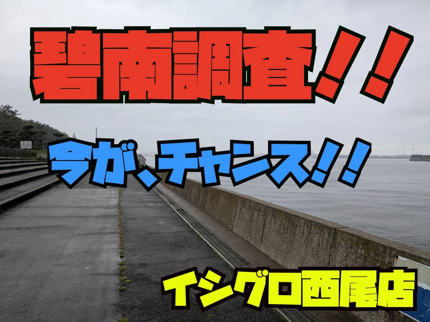碧南調査
