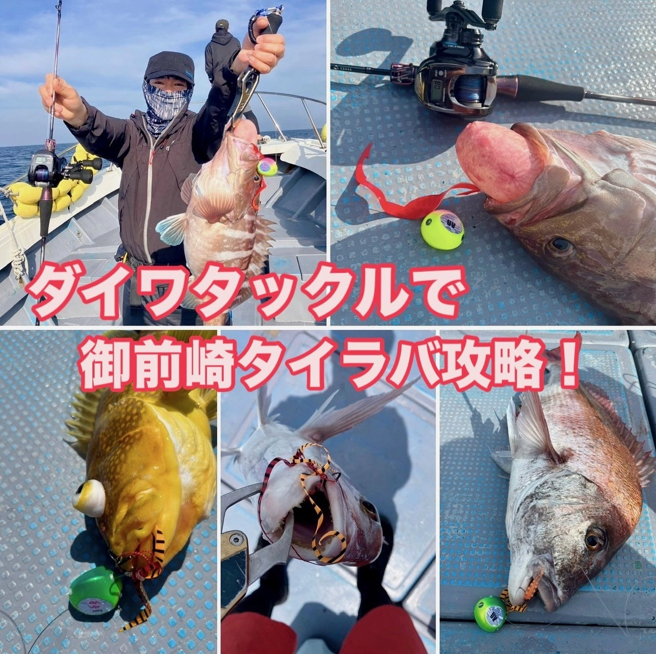 うっしーのタイラバ釣行！ダイワタックルで御前崎攻略！ | 釣具の