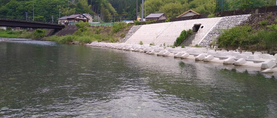 和田島橋下流のトロ場に群れアユがたくさんいました！このアユが流れに入れば！！