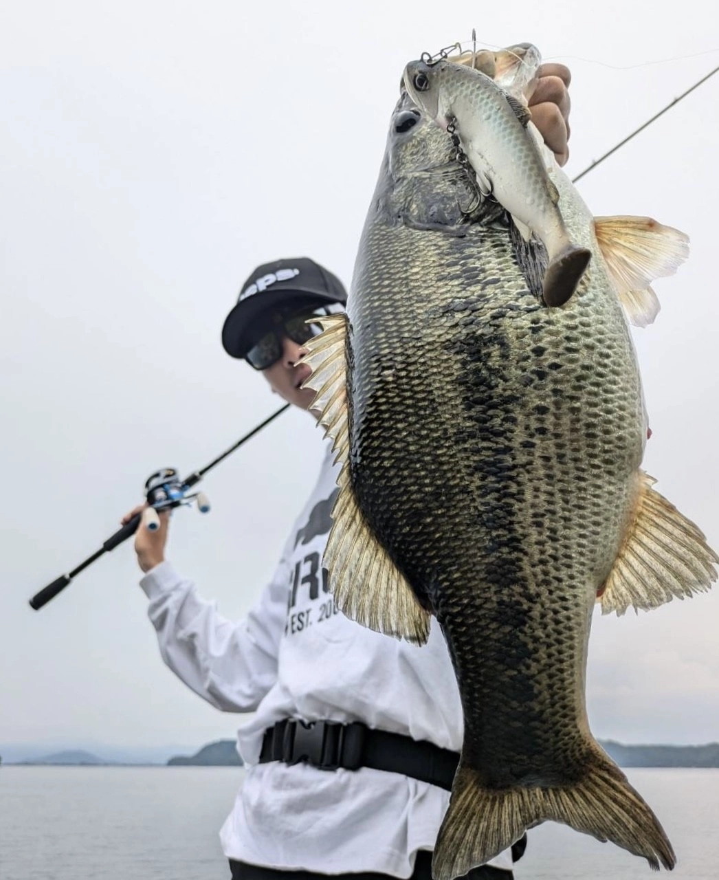 琵琶湖ブラックバス】琵琶湖のブラックバスよく釣れてます!! | 釣具の
