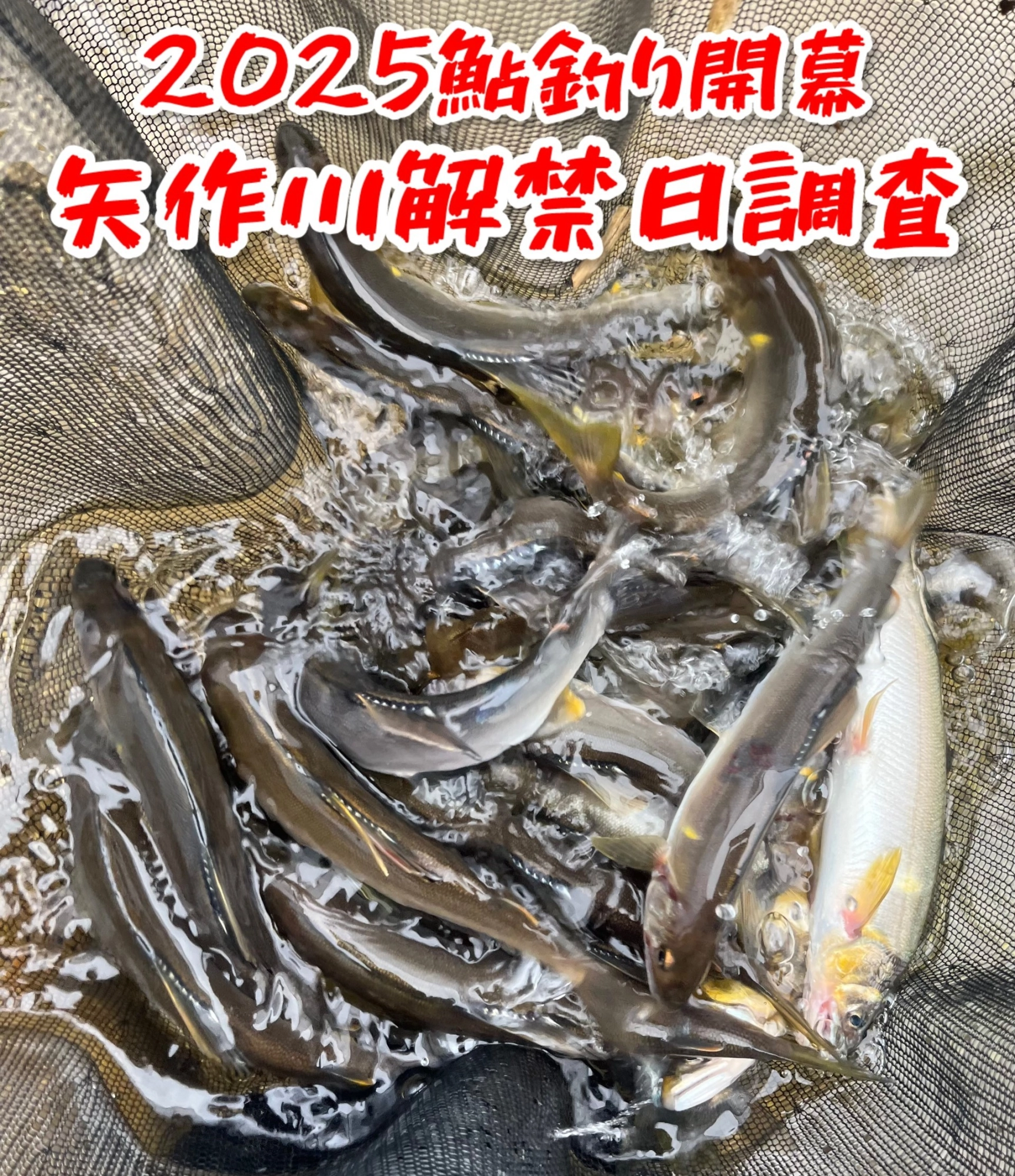 石洲作　鮎友竿　送料込み 鮎釣 鮎釣り竿
