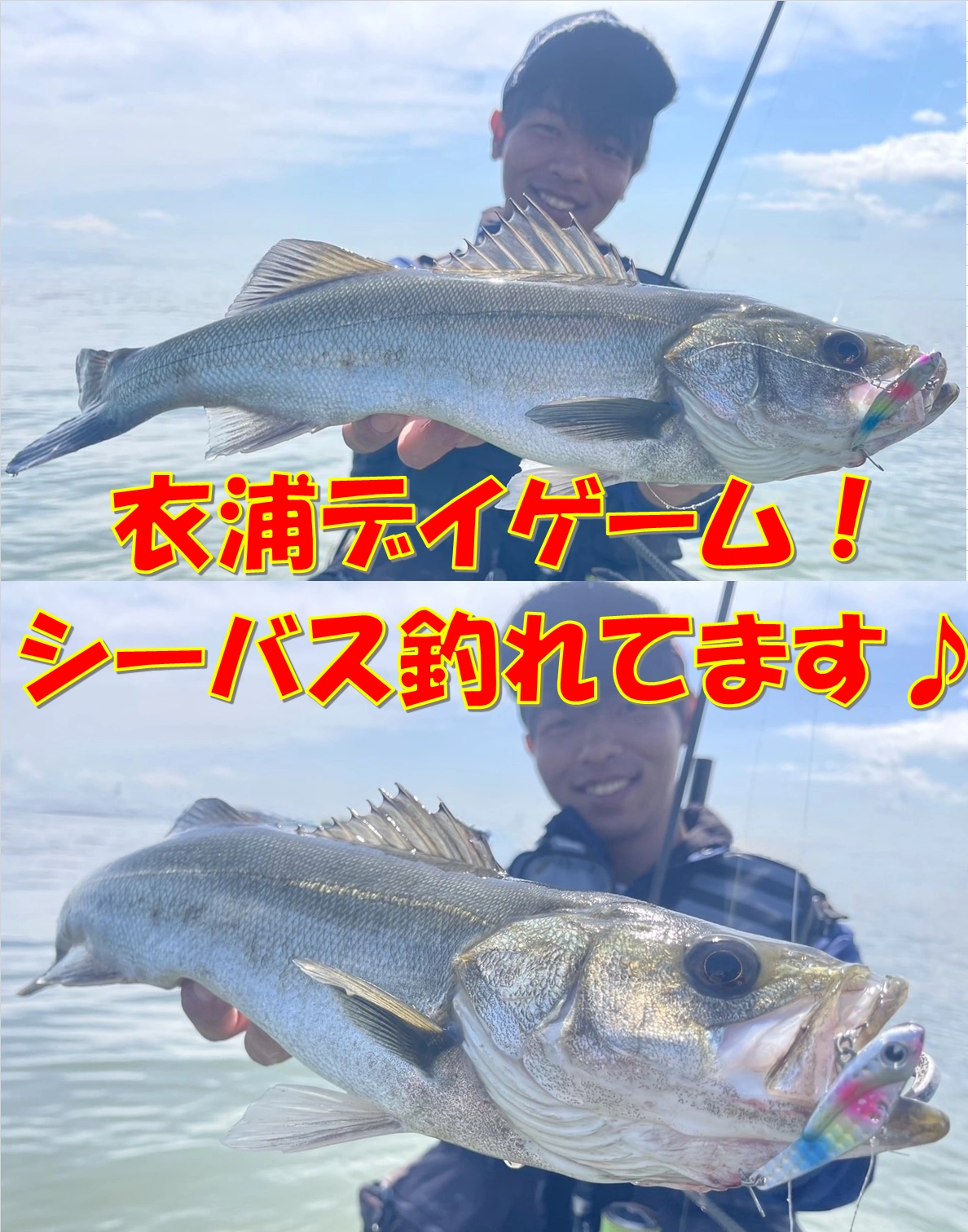 ダイワ 陽舟 7・W 24年モデル - 釣具のポイント 【公式