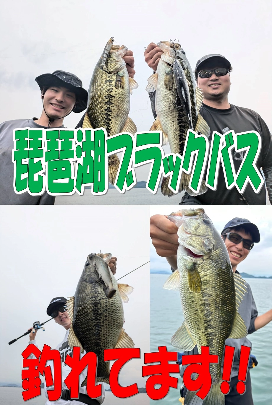 琵琶湖ブラックバス】琵琶湖のブラックバスよく釣れてます!! | 釣具の